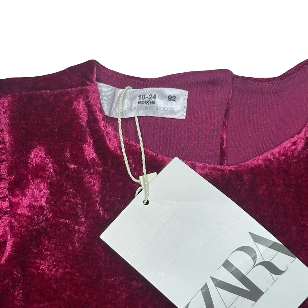 Zara Velvet‎ Dress